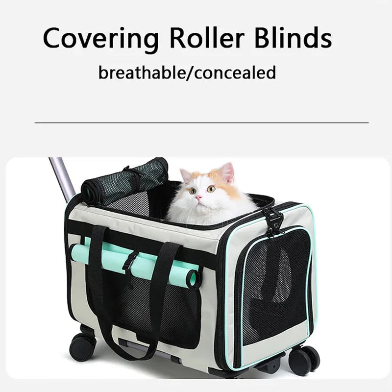 Catrollax