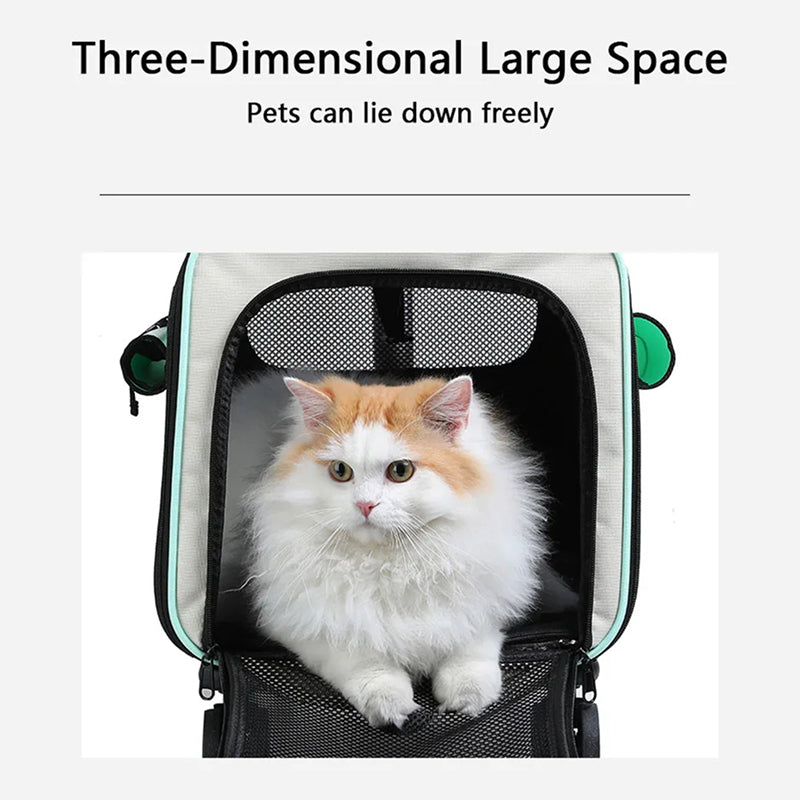 Catrollax