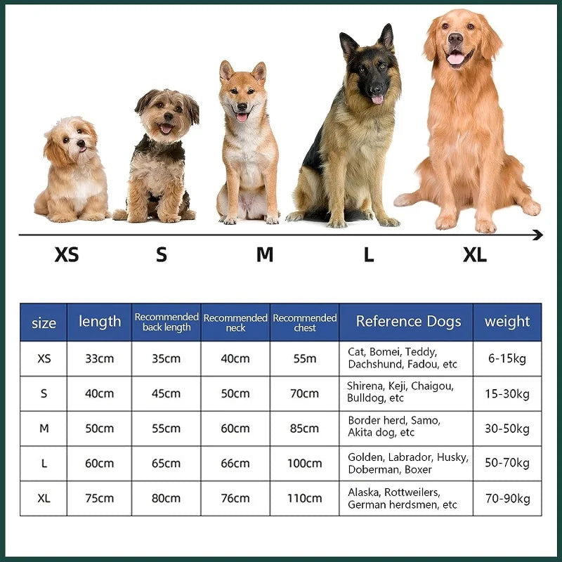 CoxFodog