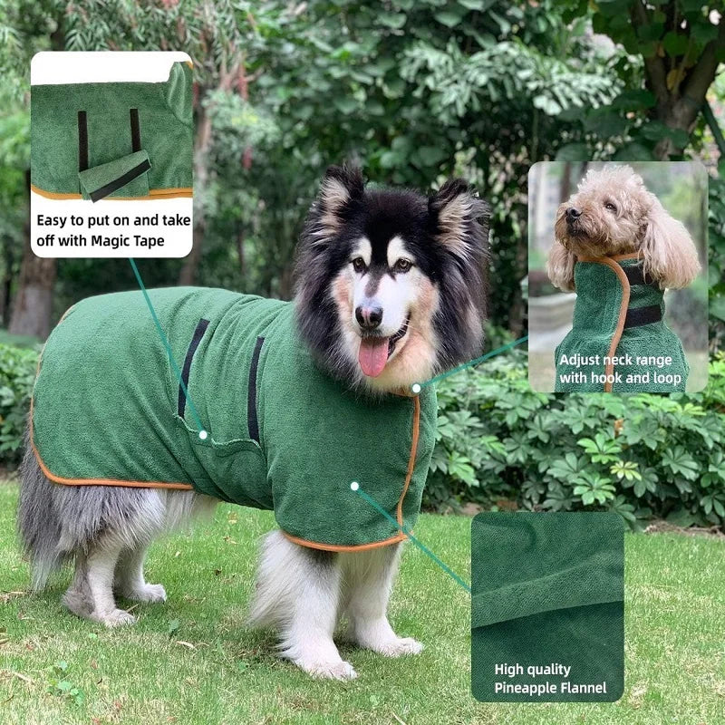 CoxFodog