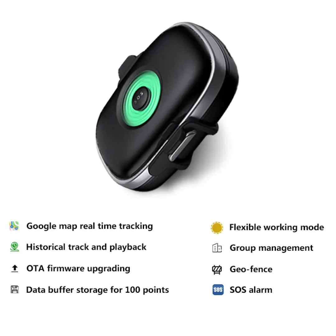CatMaxe