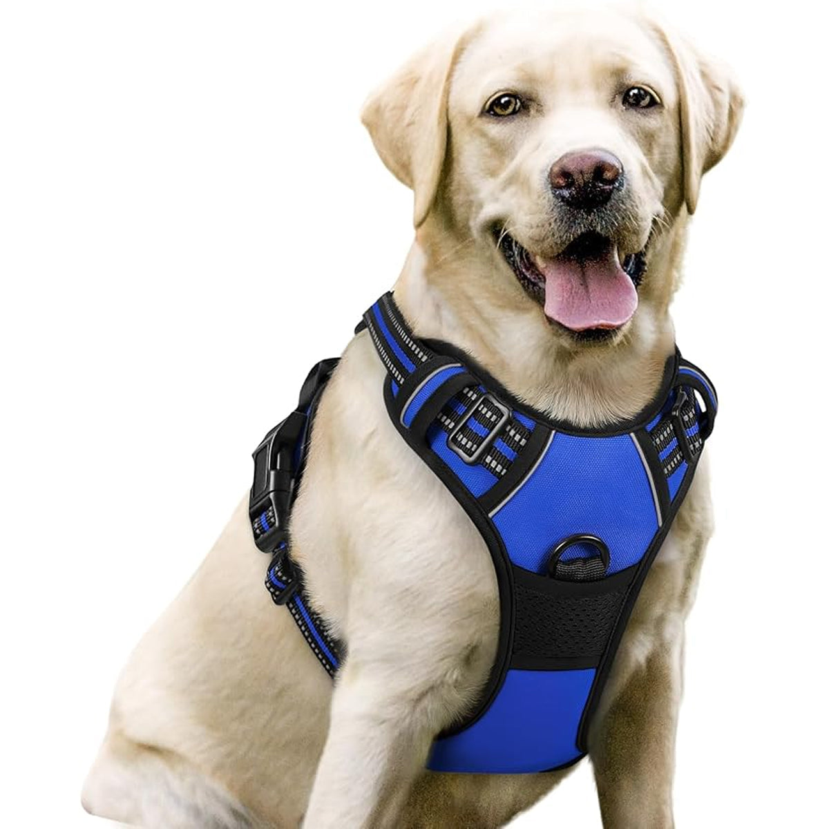Doghamex