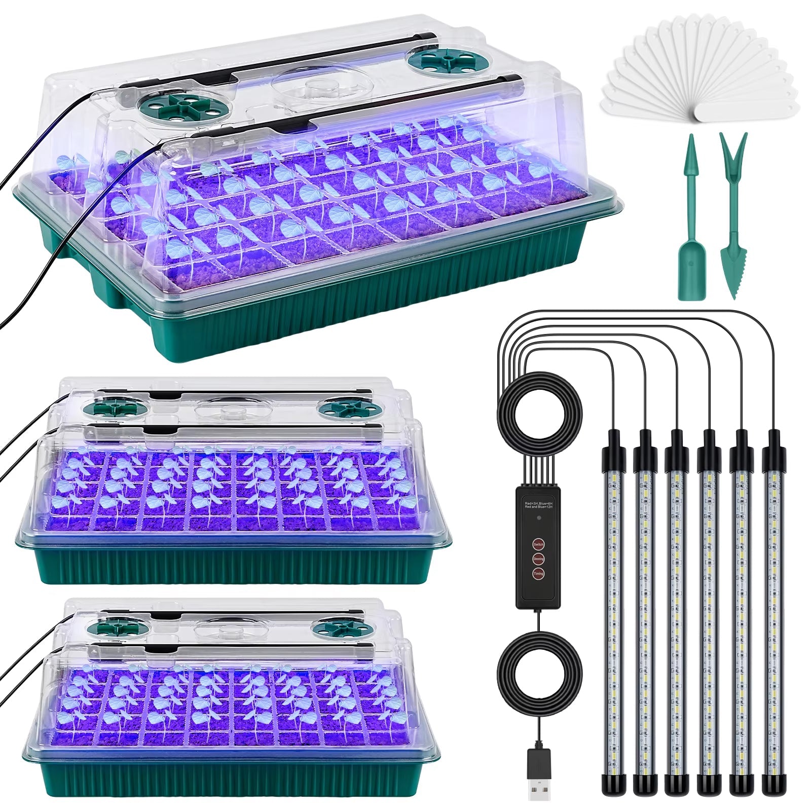 Sprotiex