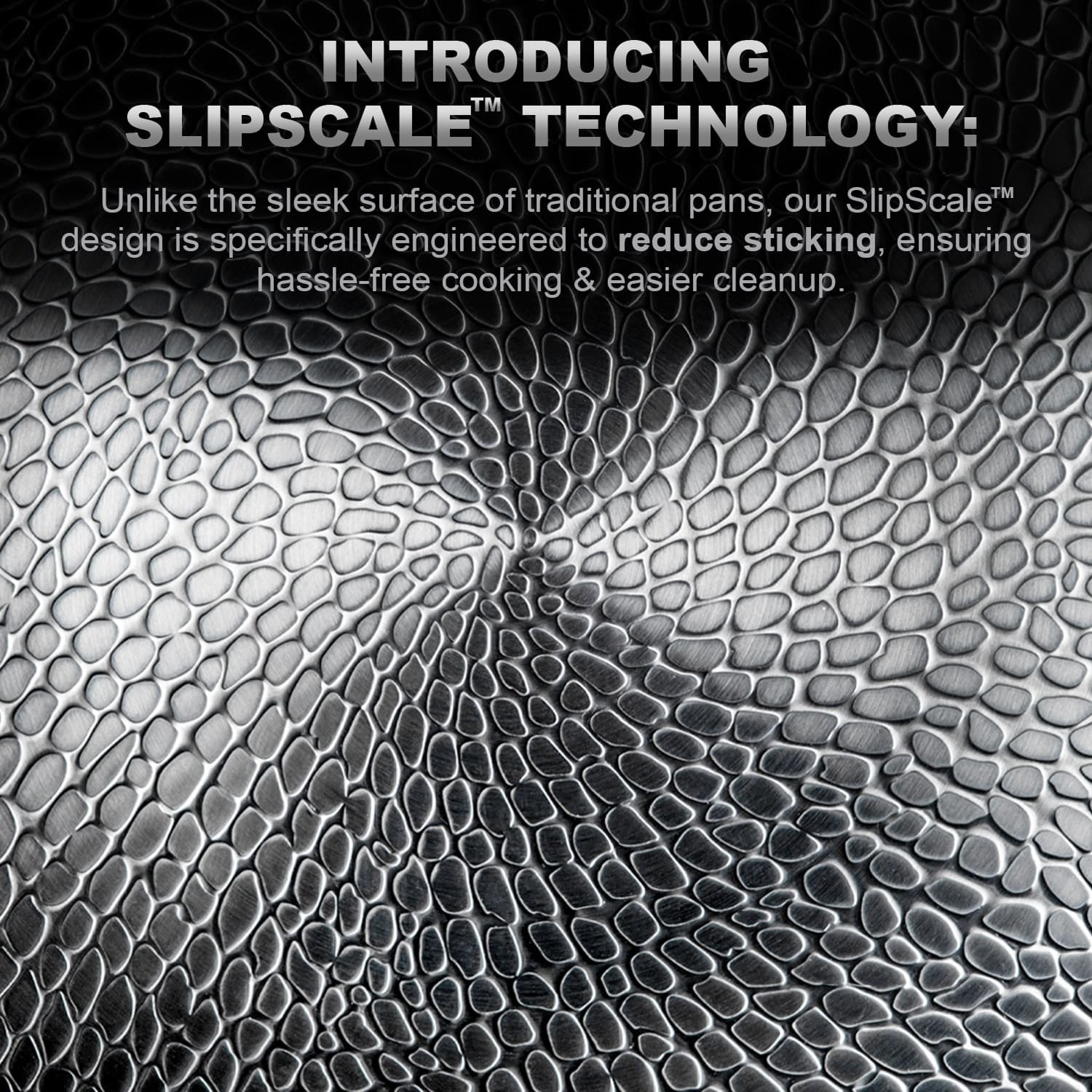 ti-panexi-img-14.jpg__PID:d9ac6c03-1df5-4242-9770-d9e0f92fc90d